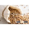 High Quality Roasted Buckwheat Kernel