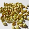 Buckwheat kernel