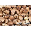 Buckwheat, Buckwheat Hull, Buckwheat Husk, Buckwheat Flour, Raw and Roasted Buckwheat for sale