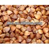 2012 CROP Chinese roasted buckwheat kernel