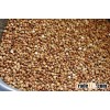 BUCKWHEAT, ROASTED BUCKWHEAT, ORGANIC RAW BITTER BUCKWHEAT KERNEL LOW PRICE