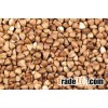 Buckwheat Kernel