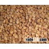 Good Quality Buckwheat / Organic Buckwheat