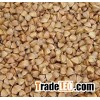 Buckwheat