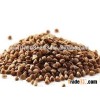 Roasted buckwheat