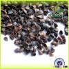 Comfortable and no admixture buckwheat pillow,hot sale top quality buckwheat hulls/buckwheat husk