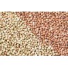 buckwheat husk (hull)
