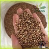 2014 Crop Certified Organic Roasted Buckwheat