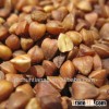 rorganic oasted buckwheat kernel