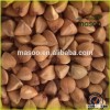 Barley,Buckwheat,buckwheat groats, Corn Or Maize,Gram,Nuts,Oat,Rice,Rye,Soy,Wheat Made From and Ba P
