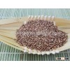 New Crop Chinese Roasted Buckwheat Kernel brown color