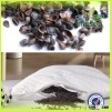 Hot sale non-gmo 2015 new crop buckwheat hulls wholesale/buckwheat husk/buckwheat hulls