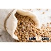 sweet raw buckwheat roasted buckwheat
