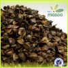 Comfortable and no admixture buckwheat hulls for sale,hot sale top quality buckwheat hulls/buckwheat