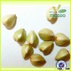Top quality buckwheat/organic buckwheat/wholesale buckwheat