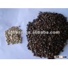 Hot sale Sweet Buckwheat