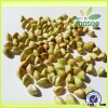 Inner Mongolia non-gmo buckwheat price and buckwheat/buckwheat groats
