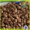 2015 new crop buckwheat,could provide buckwheat flour/roasted buckwheat
