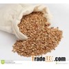 Raw or Roasted Buckwheat Husk/Hull Shell