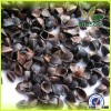 Comfortable and no admixture buckwheat hulls wholesale,hot sale top quality buckwheat hulls/buckwhea