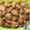 NON-GMO 2015 new crop buckwheat husk/buckwheat flour and buckwheat