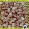 2015 new crop buckwheat,could provide wholesale buckwheat/roasted buckwheat