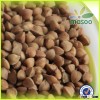2015 new crop buckwheat,could provide buckwheat pillow/roasted buckwheat