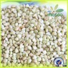 Supply different kind of buckwheat, such as organic buckwheat/green buckwheat
