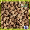 2015 new crop buckwheat,could provide buckwheat hull/roasted buckwheat