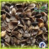 Used for pillow of buckwheat hull ,Non-gmo buckwheat hull/buckwheat husk