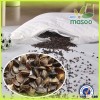 2015 new crop wholesale buckwheat, health and no admixture buckwheat husk