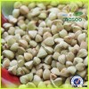 China non-gmo organic buckwheat and buckwheat/buckwheat groats