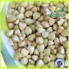 Supply different kind of buckwheat, such as buckwheat shell/green buckwheat