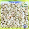 Supply different kind of buckwheat, such as buckwheat price/green buckwheat