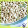 Hot sale buckwheat kernel/green buckwheat kernel/raw buckwheat kernel