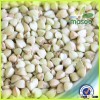 Masoo buckwheat hot sale buckwheat/green buckwheat/raw buckwheat