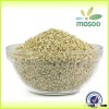 New crop top quality green buckwheat,healty buckwheat kernel/buckwheat