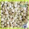 Supply different kind of buckwheat, such as roasted buckwheat/green buckwheat