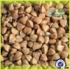 2015 new crop buckwheat/non-gmo buckwheat could provide buy buckwheat/roasted buckwheat