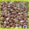 NON-GMO 2015 new crop roasted buckwheat/buckwheat kernel and buckwheat
