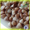 2015 new crop buckwheat,could provide buckwheat husk pillow/roasted buckwheat