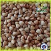 2015 new crop buckwheat,could provide green buckwheat/roasted buckwheat