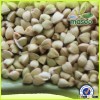 Supply different kind of buckwheat, such as buckwheat groats/green buckwheat