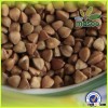 2015 new crop buckwheat,could provide buckwheat price/roasted buckwheat