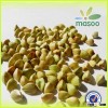 Cheap buckwheat price and top quality organic buckwheat