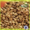 2015 new crop buckwheat,could provide roasted buckwheat/roasted buckwheat