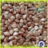 2015 new crop buckwheat,could provide organic buckwheat/roasted buckwheat