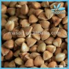 Buckwheat and Roasted Buckwheat,green buckwheat For Sale With Good Quality