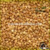 Buckwheat,roasted buckwheat, China, Inner Mongolia origin good quality..