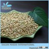 China hulled buckwheat kernel & roasted and raw buckwheat for sale
